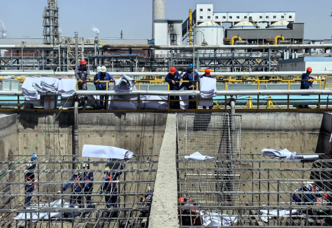 241721808996174930.png image.png